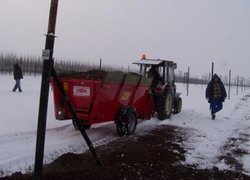 Перед закладанням саду